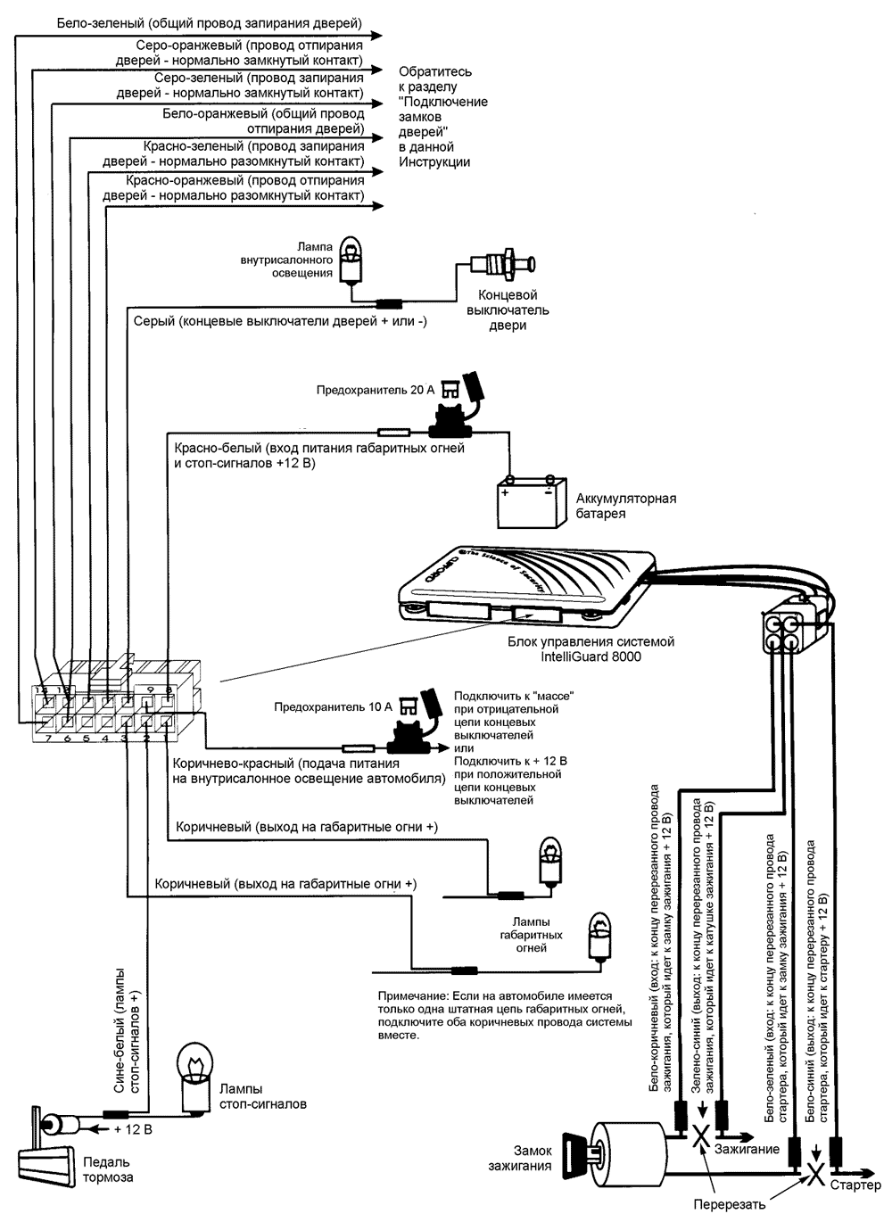 ����� �����������