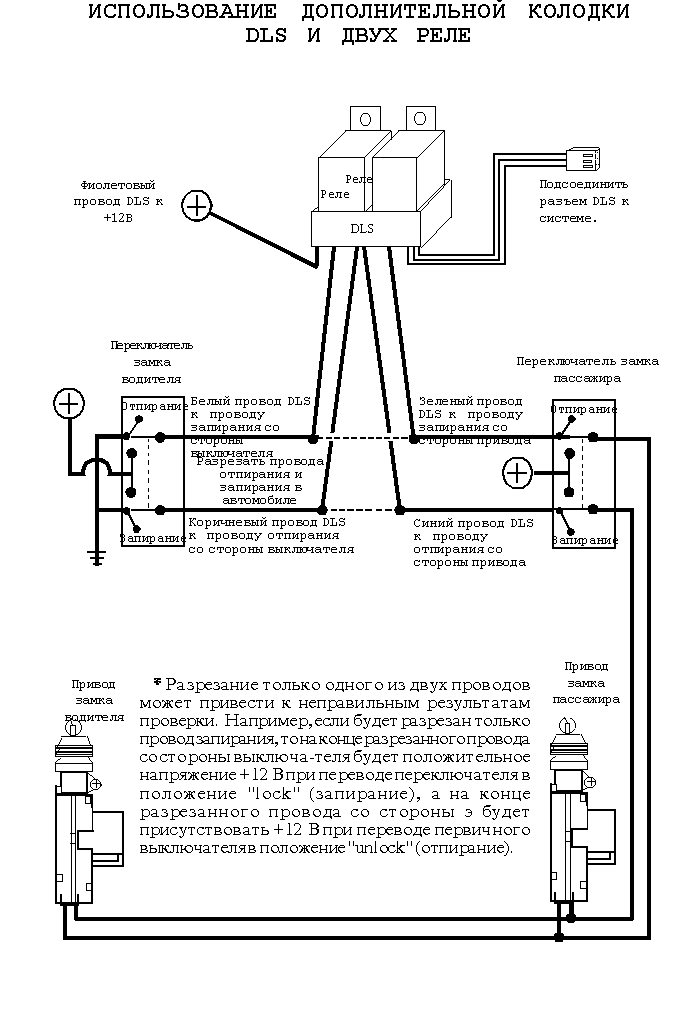 ������������� �������������� ������� DLS � ���� ����