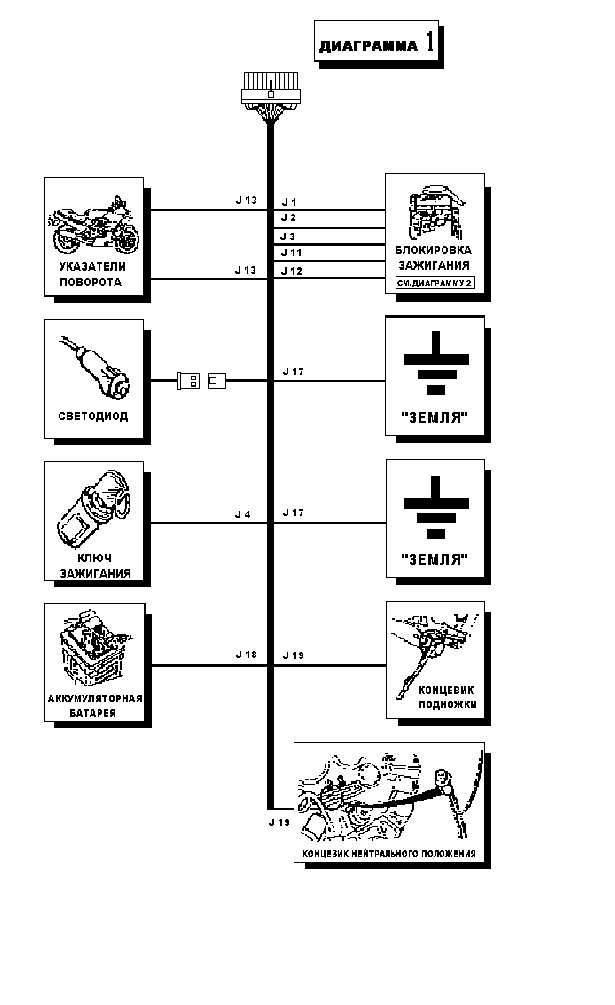 ����� �����������