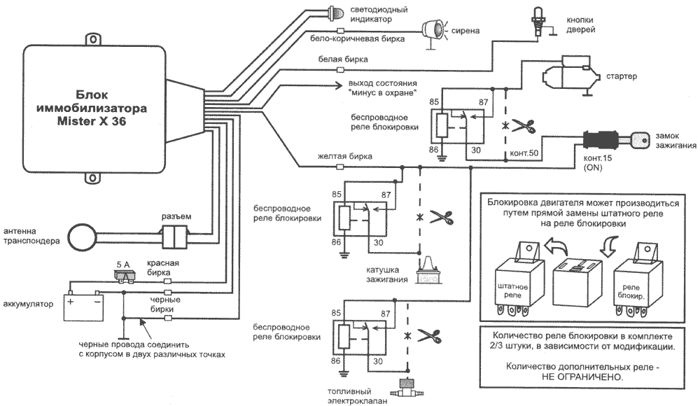 MISTER X 36 - ����� �����������