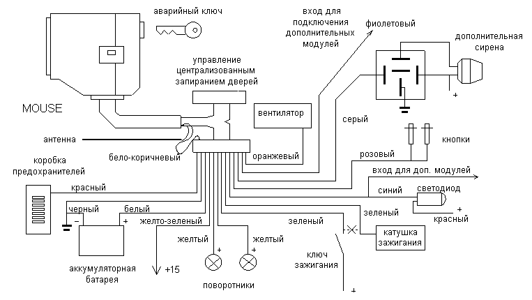 ����� �����������