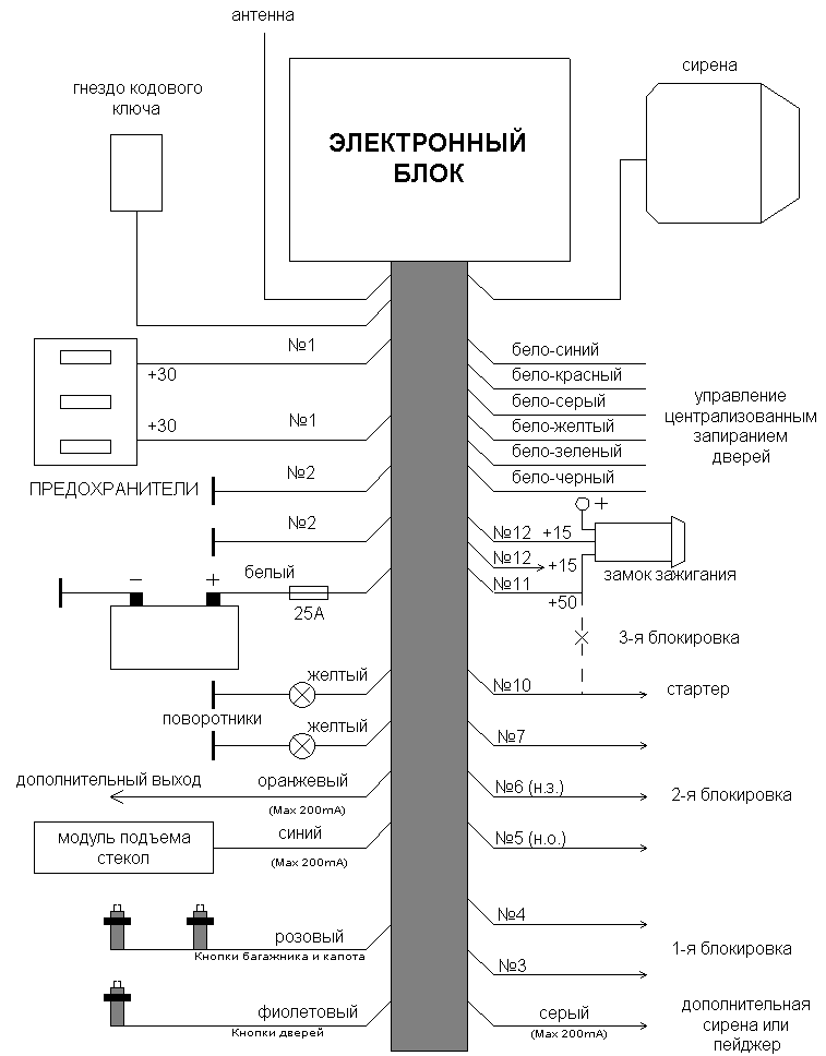 ����� �����������