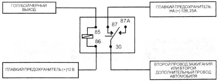 ��/2. �������/������ (-)