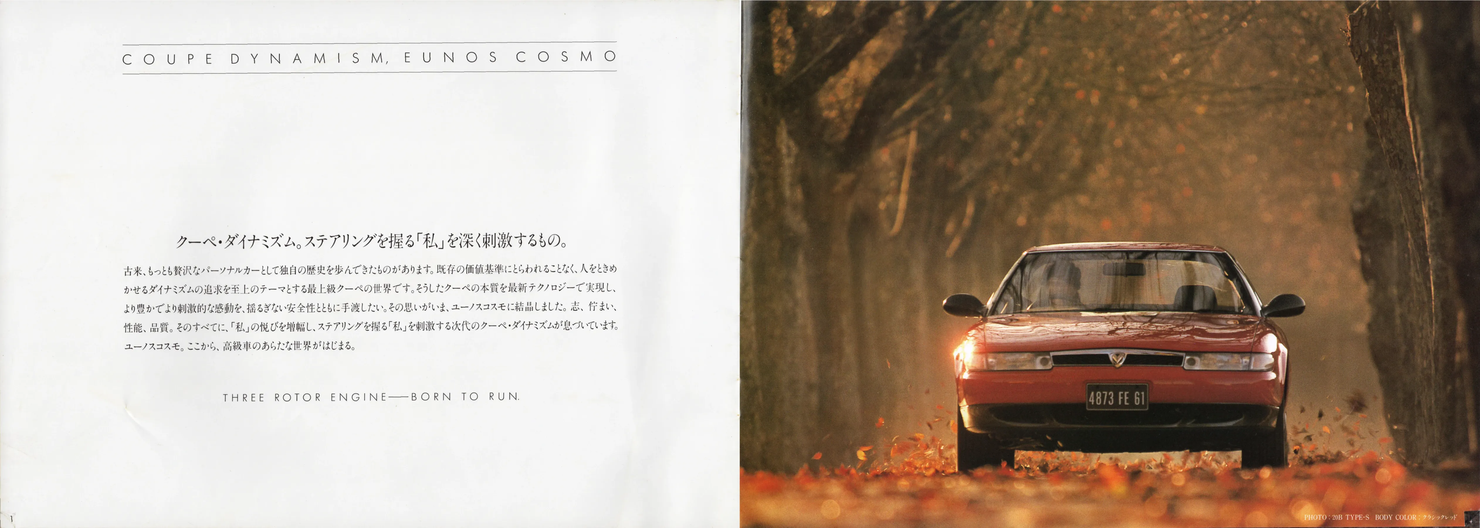 Catalogue page