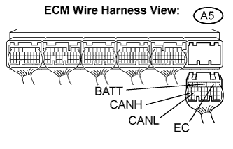 C125066E02