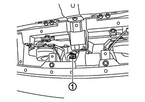 JPIIA1172ZZ.JPG