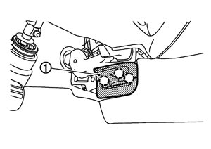 JSIIA1249ZZ.JPG