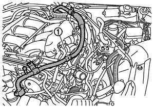 JSIIA1262ZZ.JPG