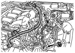 JSIIA1268ZZ.JPG