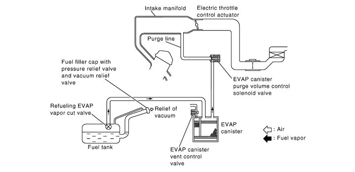 PBIB1631E.JPG