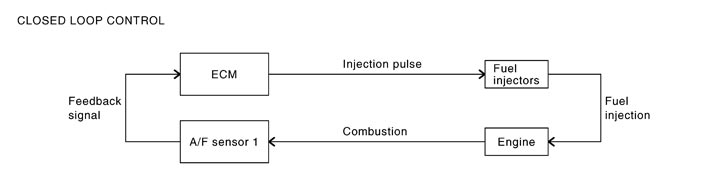 PBIB2793E.JPG