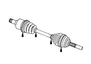 SDIA1163J.JPG