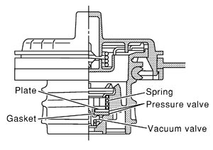 SEF445Y.JPG