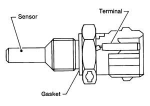 SEF594K.JPG