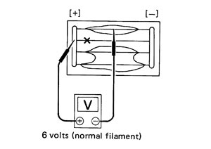 SEL263.JPG