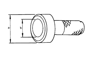 ZZA0811D.JPG